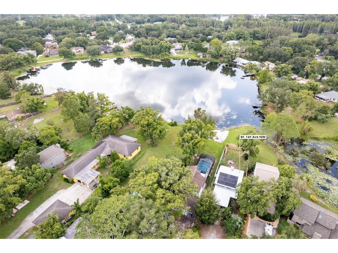 91 1st Avenue NW Lutz FL 33548 - Lutz Lake T3397661 image1