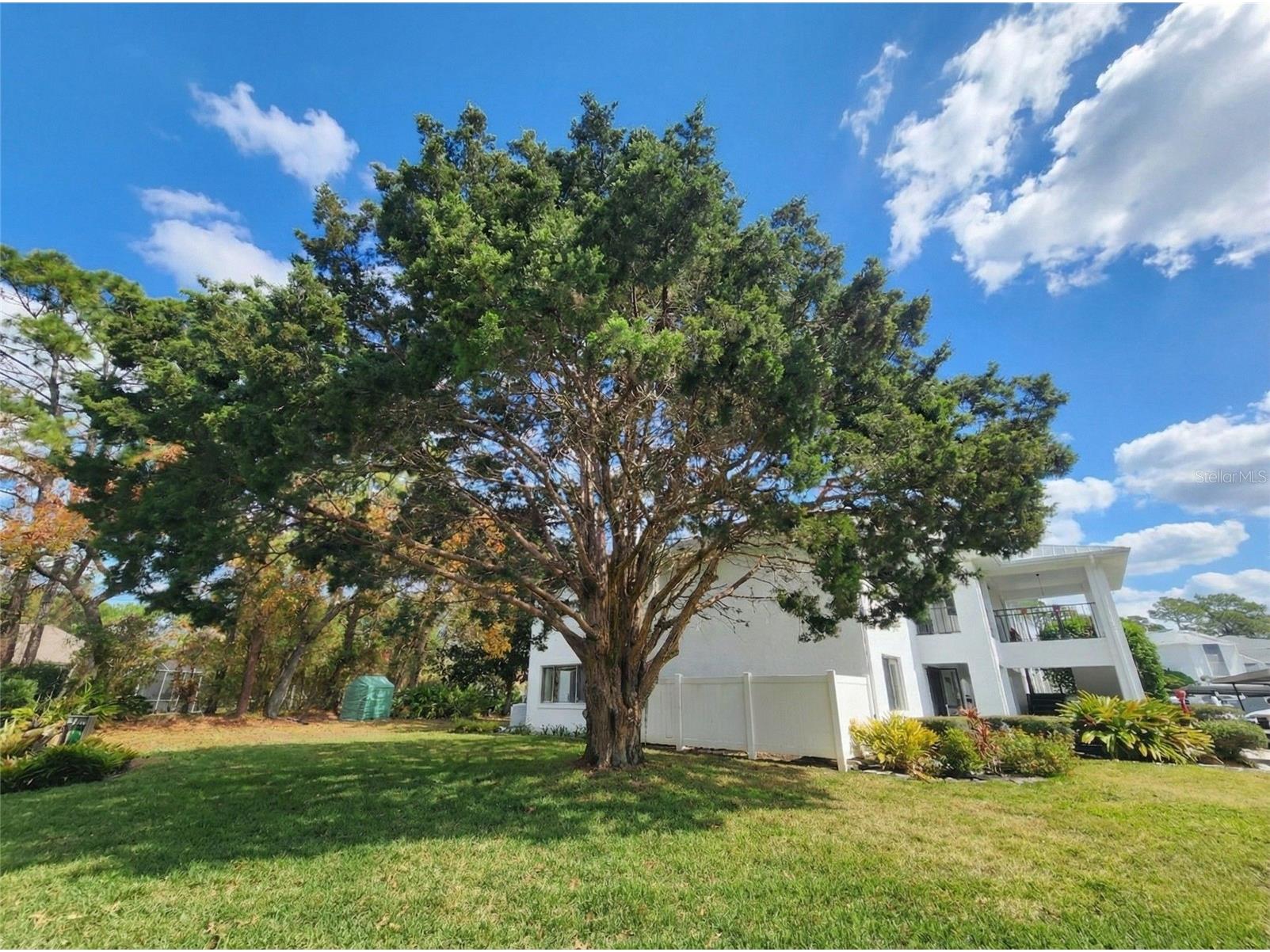 91 Anton Court #Q Homosassa FL 34446 OM715858 image18