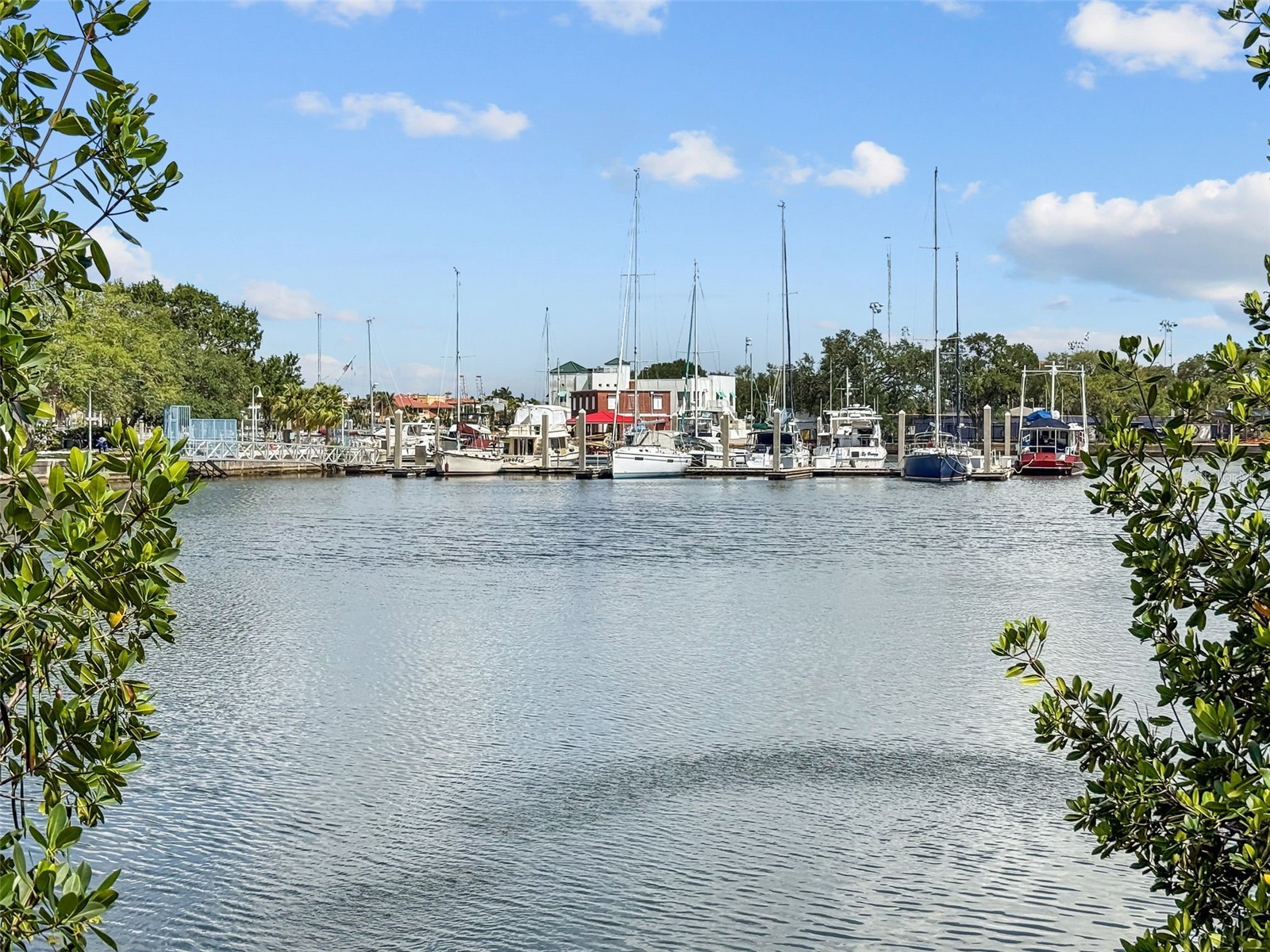 91 Davis Boulevard #204 Tampa FL 33606 TB8513312 image59