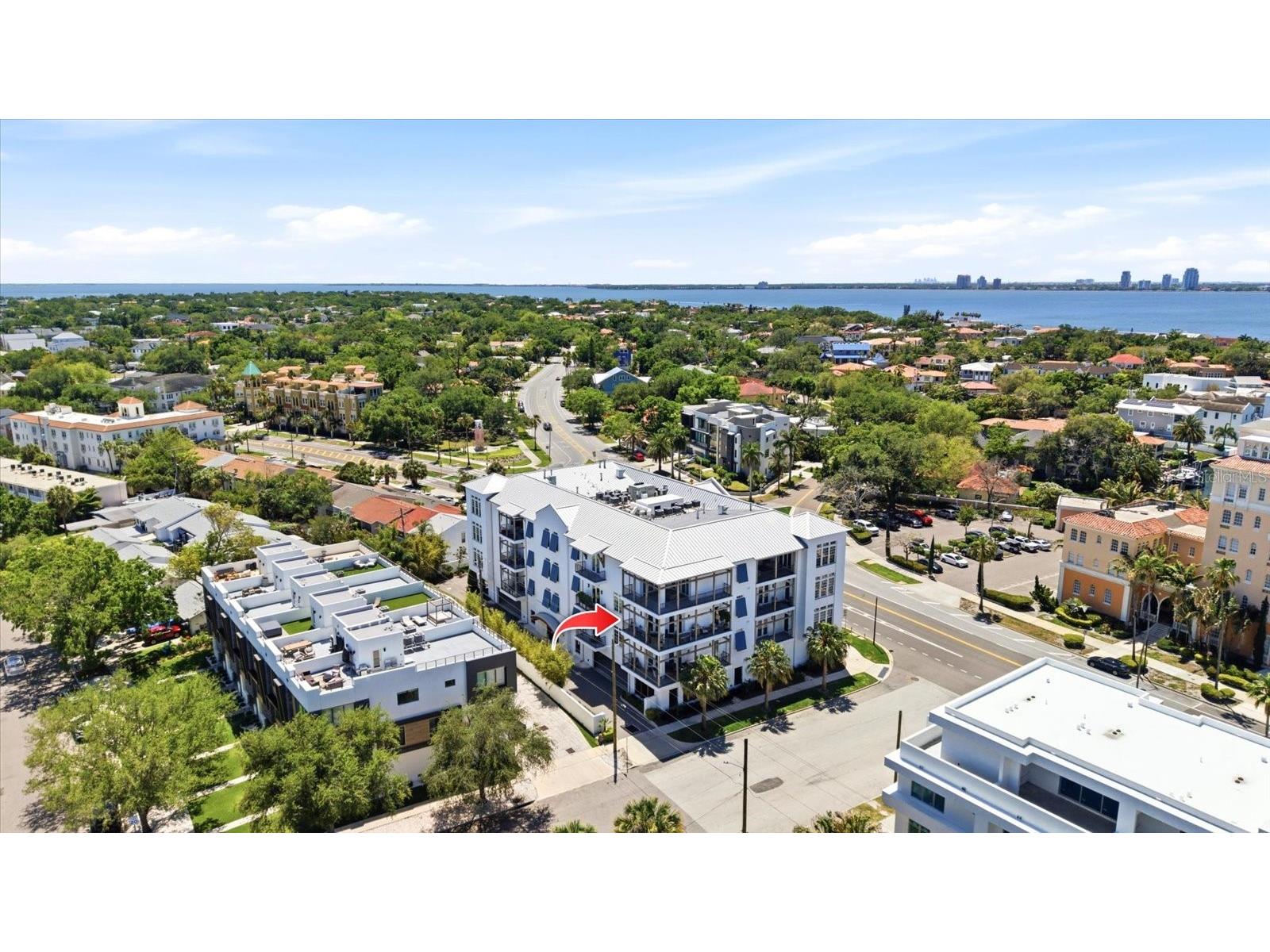 91 Davis Boulevard #303 Tampa FL 33606 TB8498356 image65