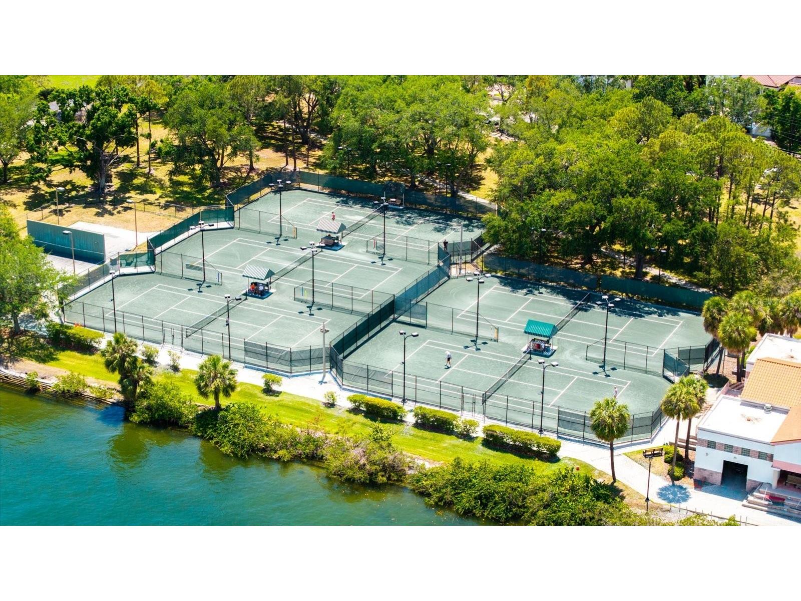 91 Davis Boulevard #303 Tampa FL 33606 TB8498356 image71