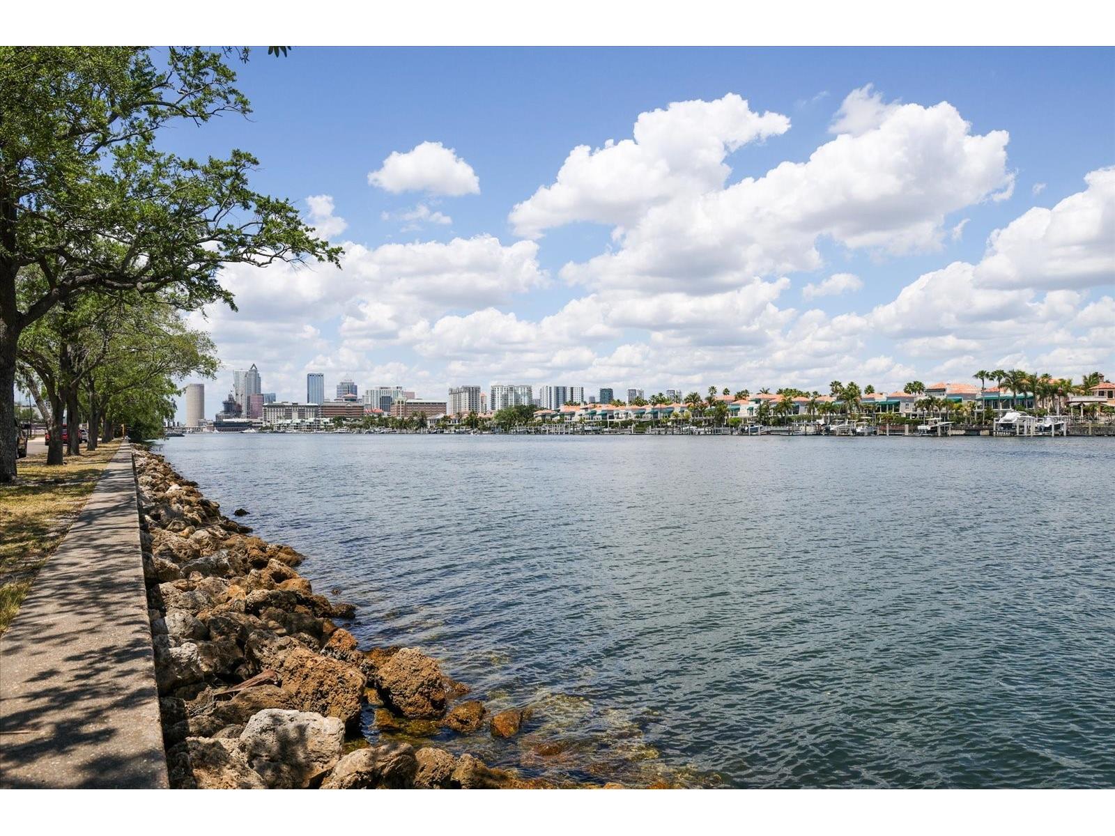 91 Davis Boulevard #303 Tampa FL 33606 TB8498356 image82