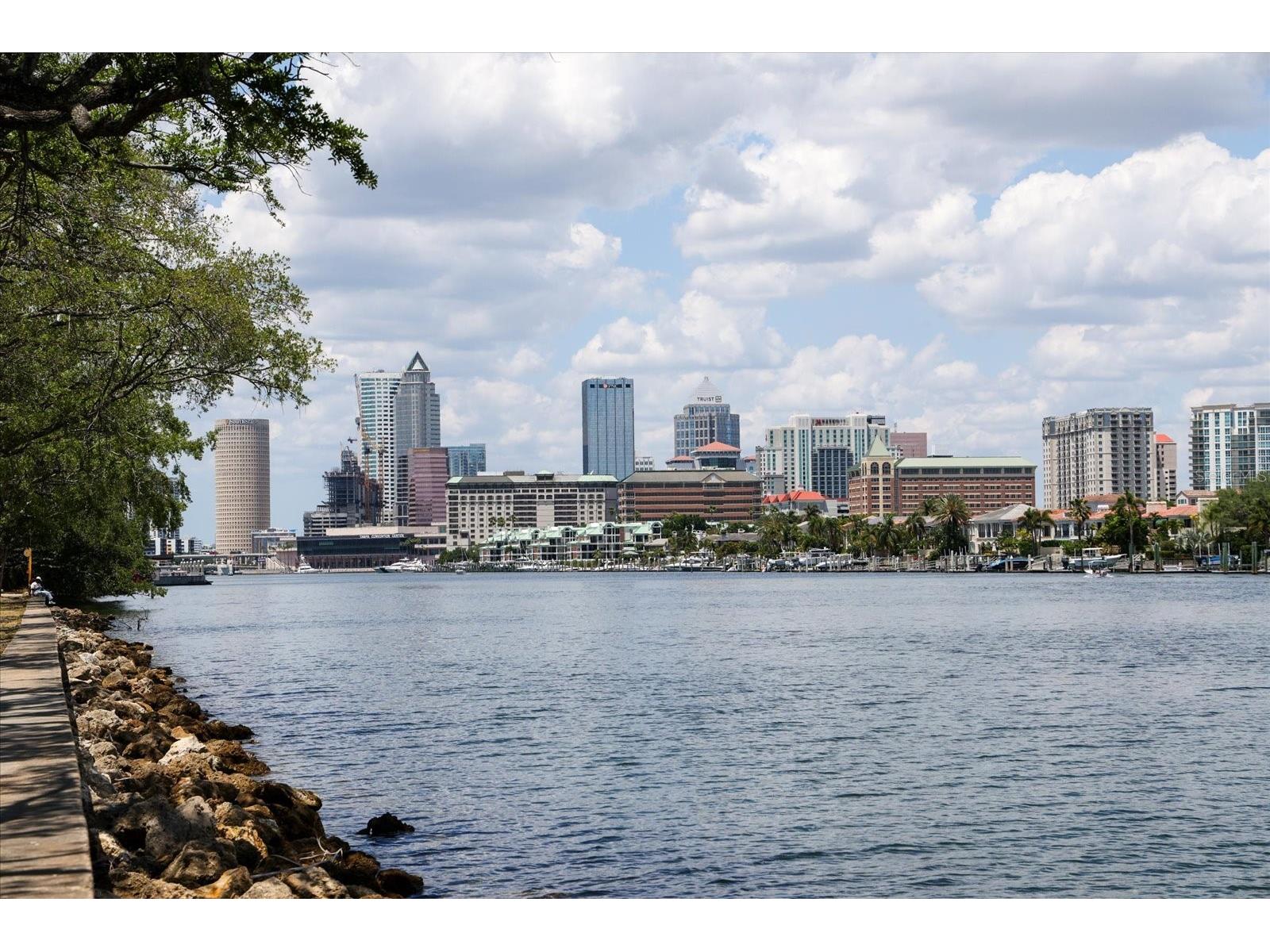 91 Davis Boulevard #303 Tampa FL 33606 TB8498356 image83