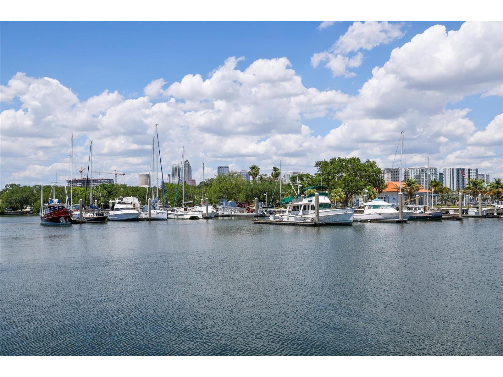 91 Davis Boulevard #303 Tampa FL 33606 TB8498356 image88