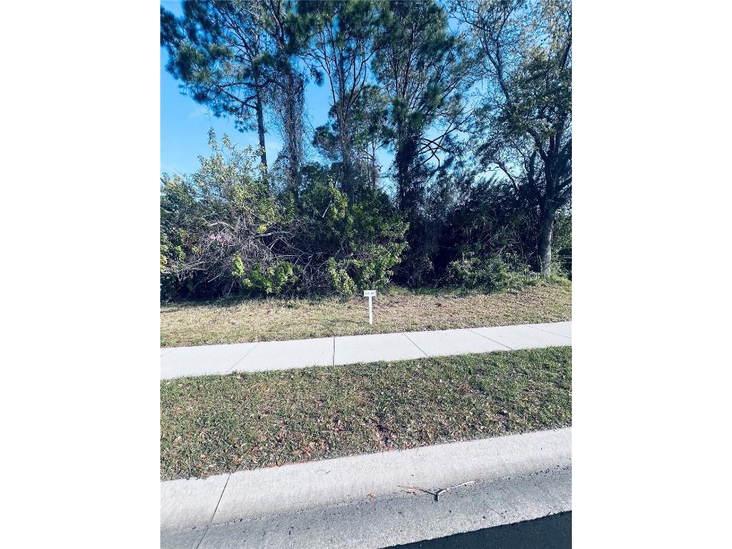 91 Emerald Lake Drive Palm Coast FL 32137 FC313255 image1