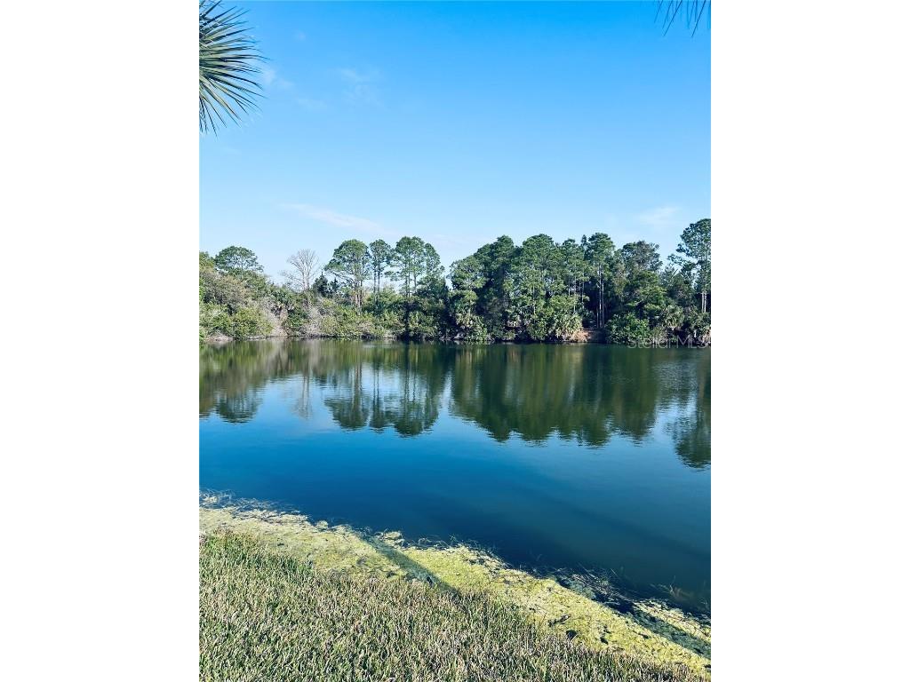 91 Emerald Lake Drive Palm Coast FL 32137 FC313255 image13
