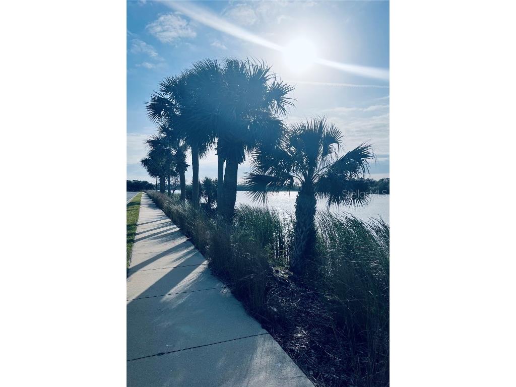 91 Emerald Lake Drive Palm Coast FL 32137 FC313255 image15