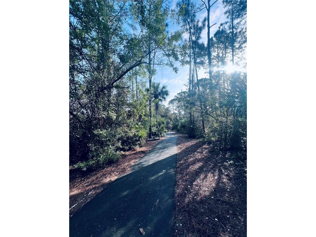 91 Emerald Lake Drive Palm Coast FL 32137 FC313255 image16