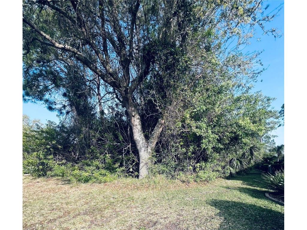 91 Emerald Lake Drive Palm Coast FL 32137 FC313255 image2