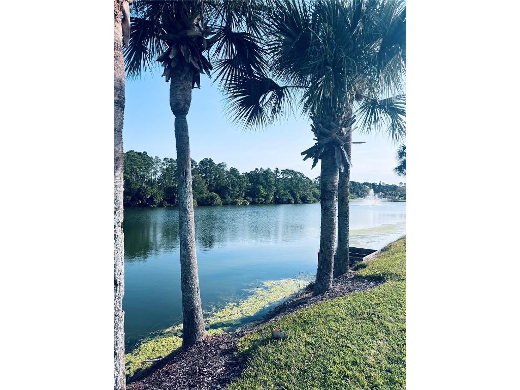 91 Emerald Lake Drive Palm Coast FL 32137 FC313255 image3