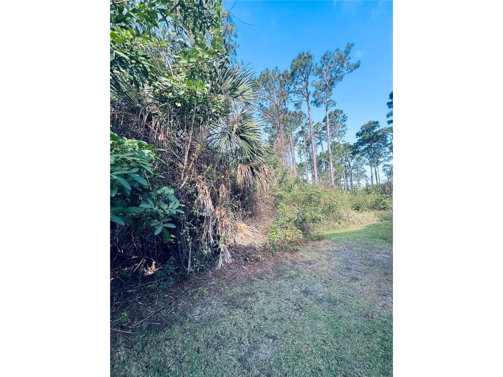 91 Emerald Lake Drive Palm Coast FL 32137 FC313255 image4