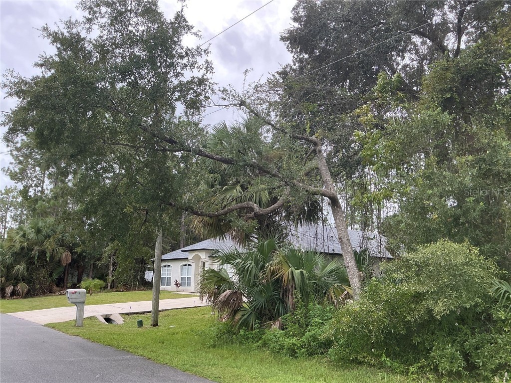 91 Palmwood Drive Palm Coast FL 32164 OM710795 image3