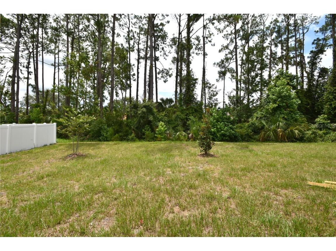 91 Pickering Drive Palm Coast FL 32164 FC312621 image11