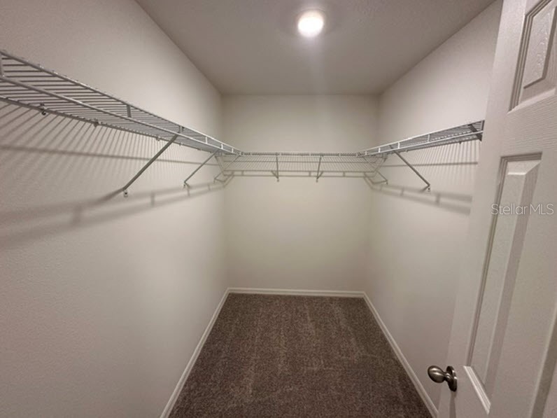 91 Randolph Drive Palm Coast FL 32164 C7524331 image6