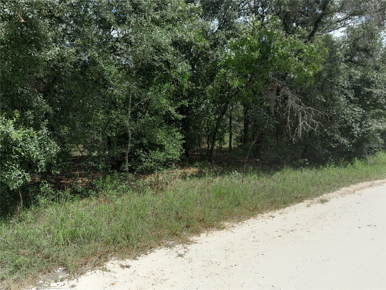 91 SE 142nd Terrace Williston FL 32696 OM707221 image1
