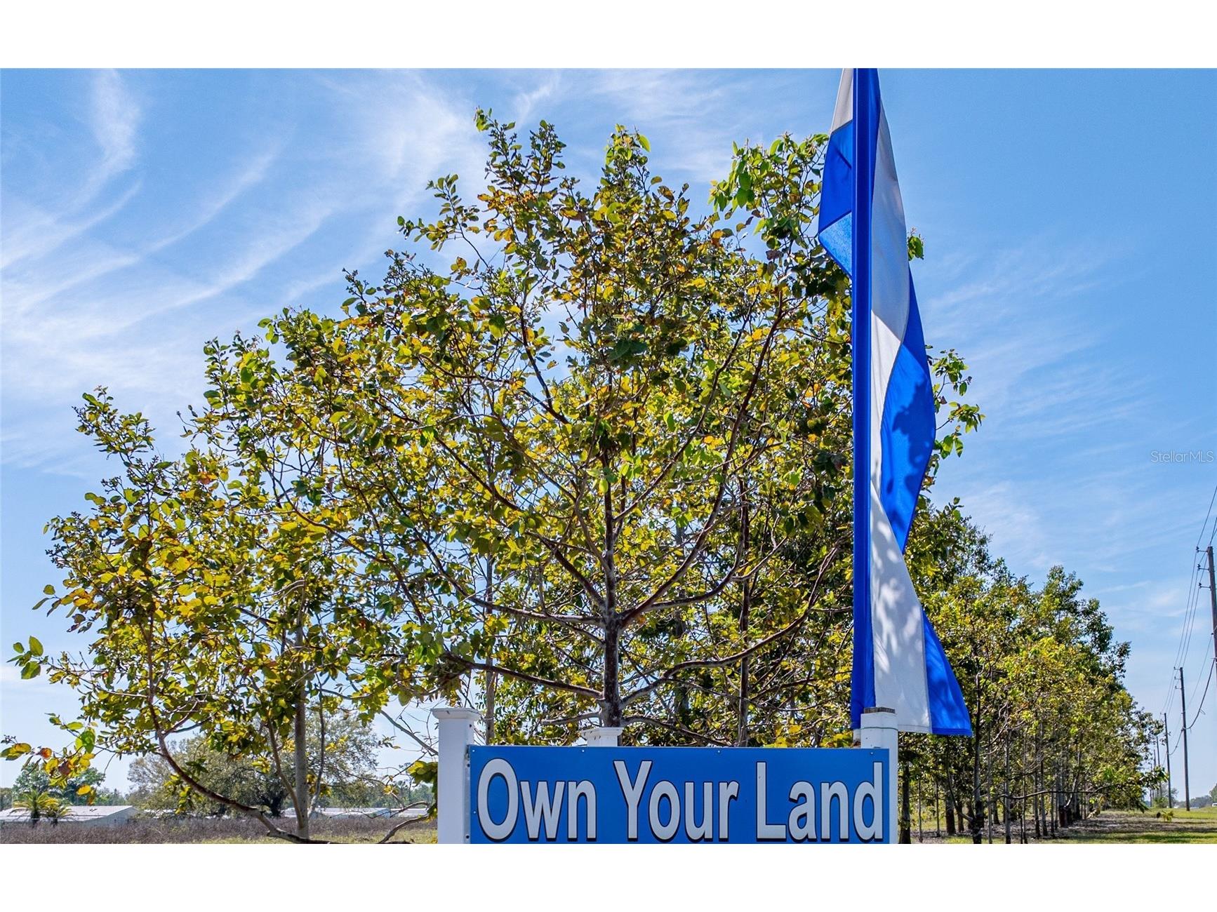 91 Straphmore Drive Haines City FL 33844 L4961625 image8