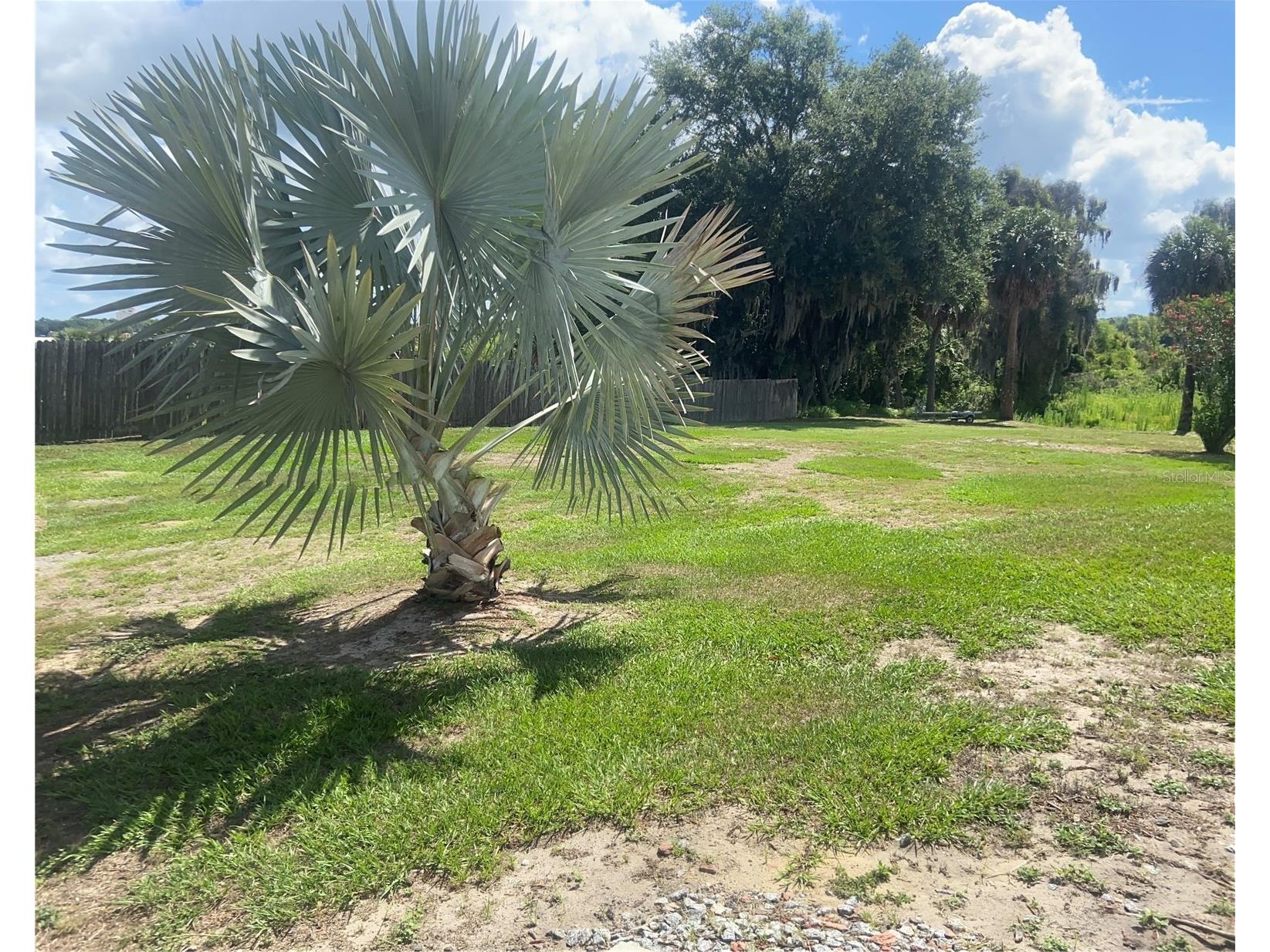 91 Woodland Drive Haines City FL 33844 - LAKE EVA L4961579 image41