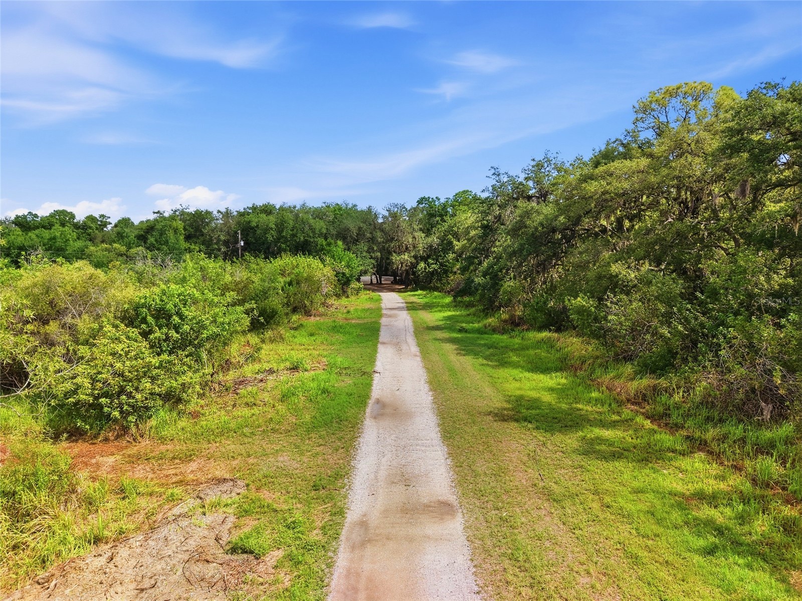 910 1010 & 1016 3rd Ave Se Avenue SE Ruskin FL 33570 A4693776 image11
