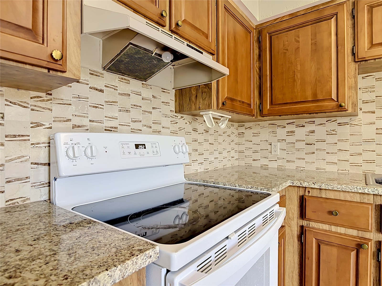 910 Big Tree Road #12-4 South Daytona FL 32119 V4948806 image11