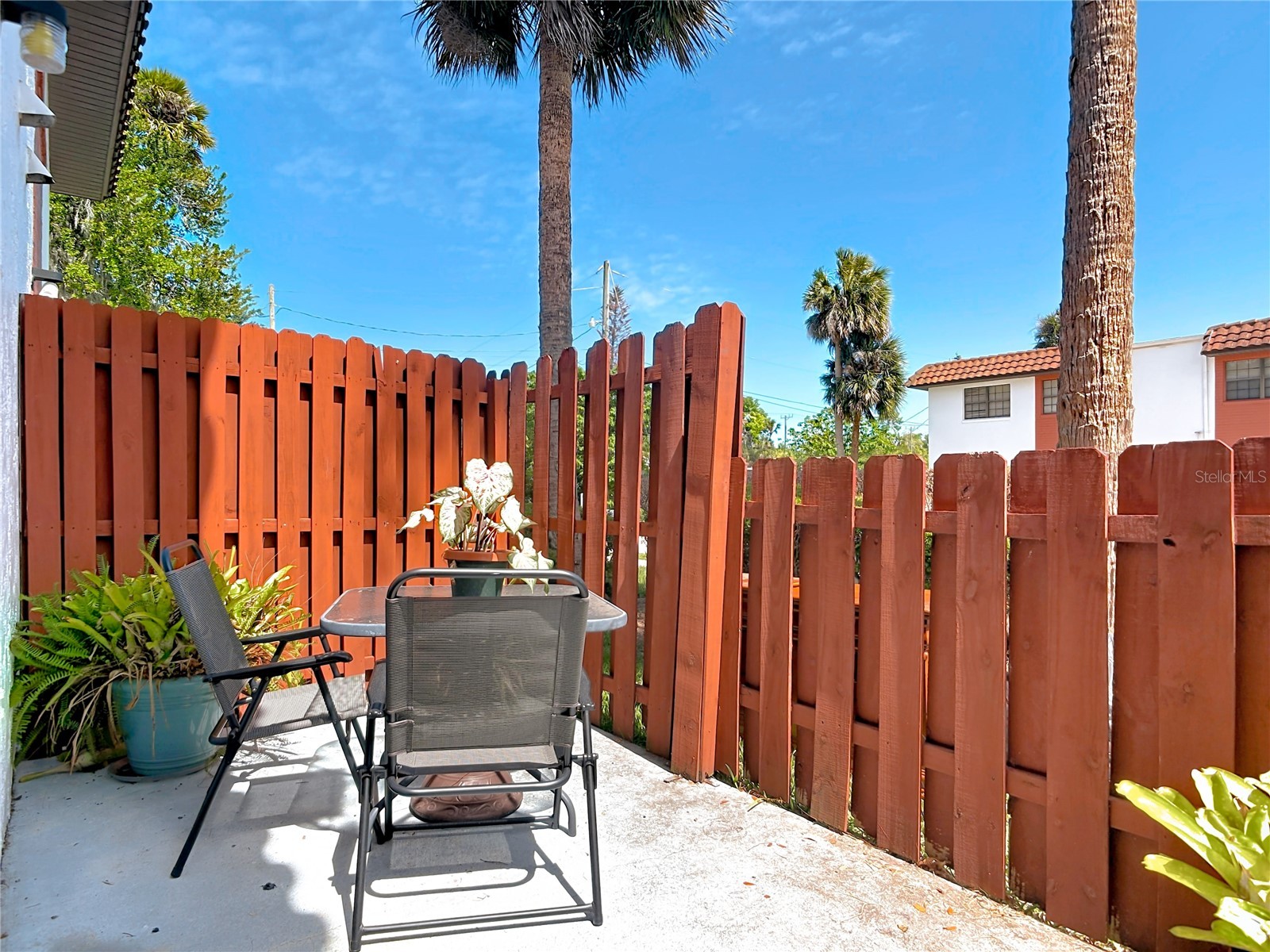 910 Big Tree Road #12-4 South Daytona FL 32119 V4948806 image34
