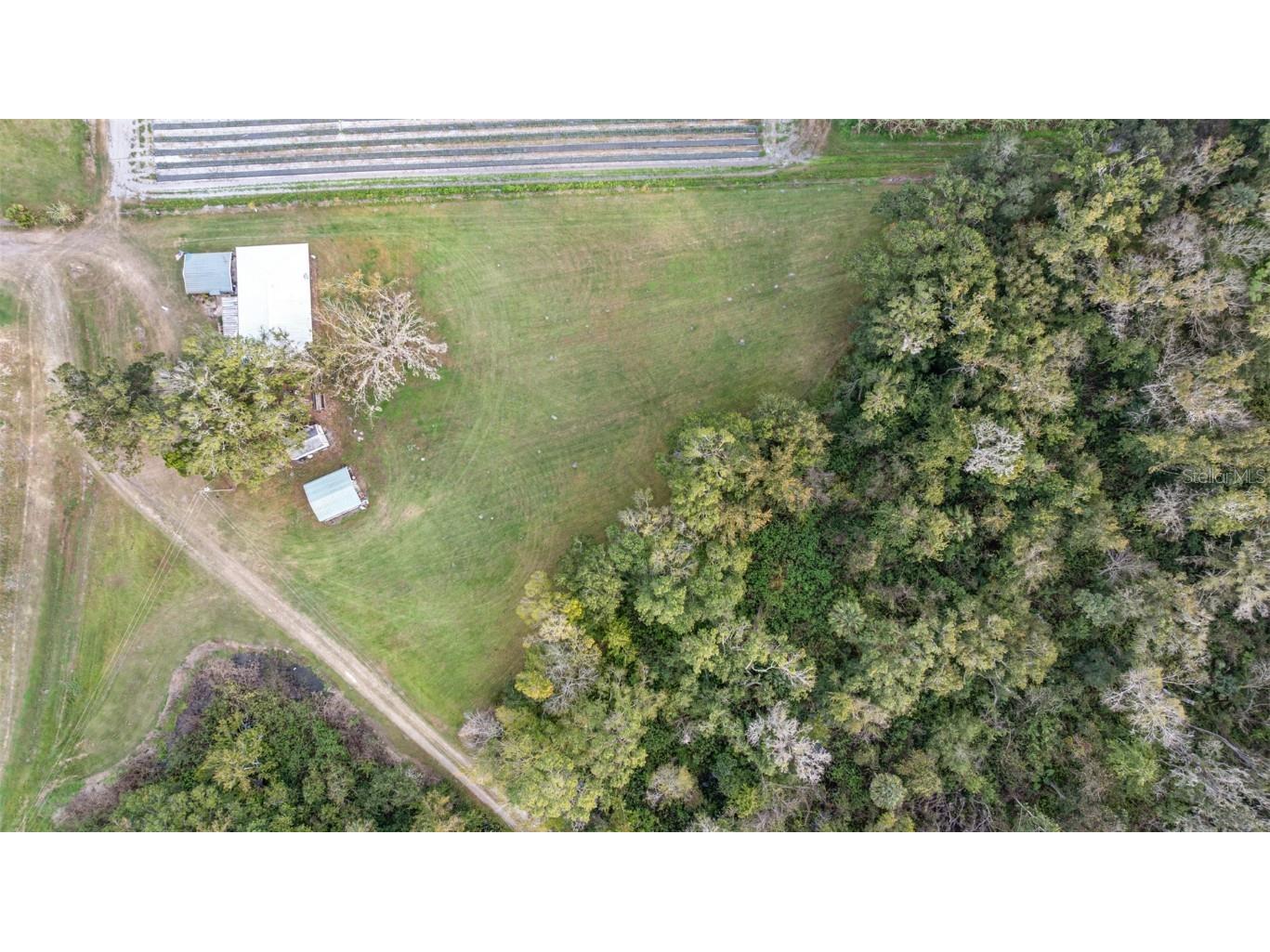 910 Bumby Lane Wauchula FL 33873 TB8443716 image31