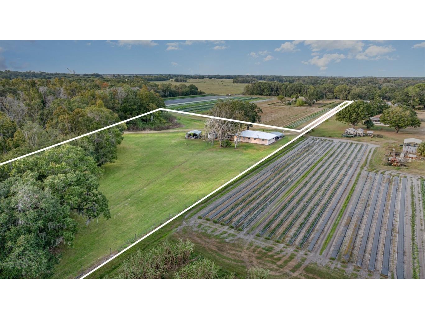 910 Bumby Lane Wauchula FL 33873 TB8443716 image32