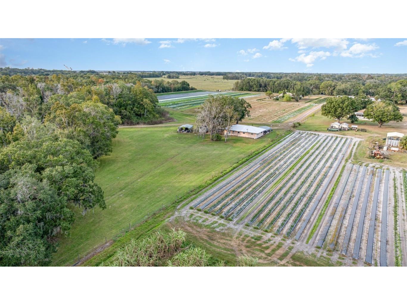 910 Bumby Lane Wauchula FL 33873 TB8443716 image33