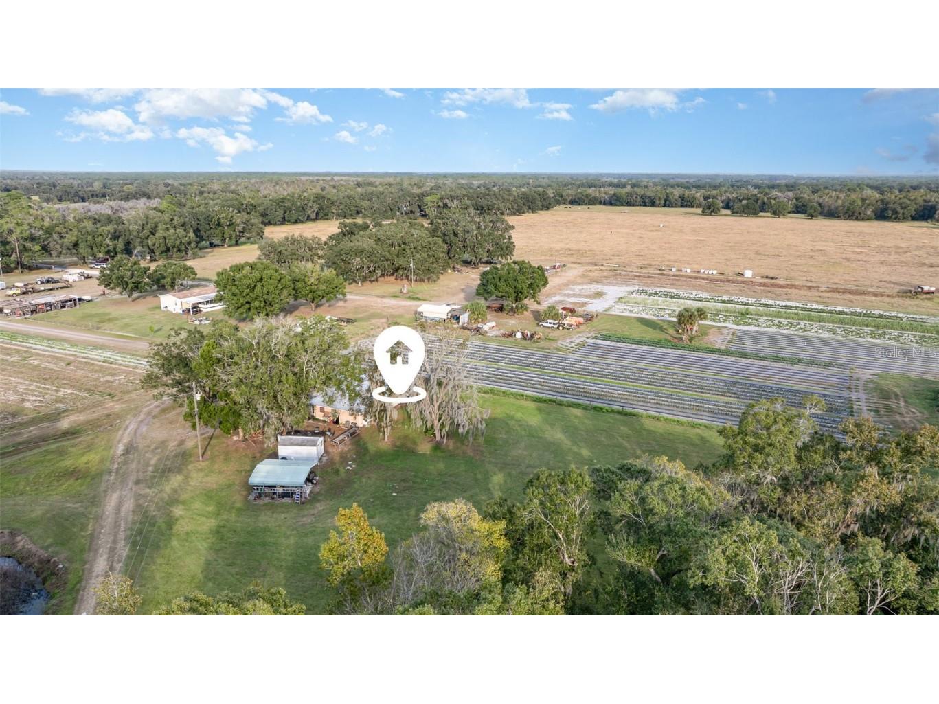 910 Bumby Lane Wauchula FL 33873 TB8443716 image34