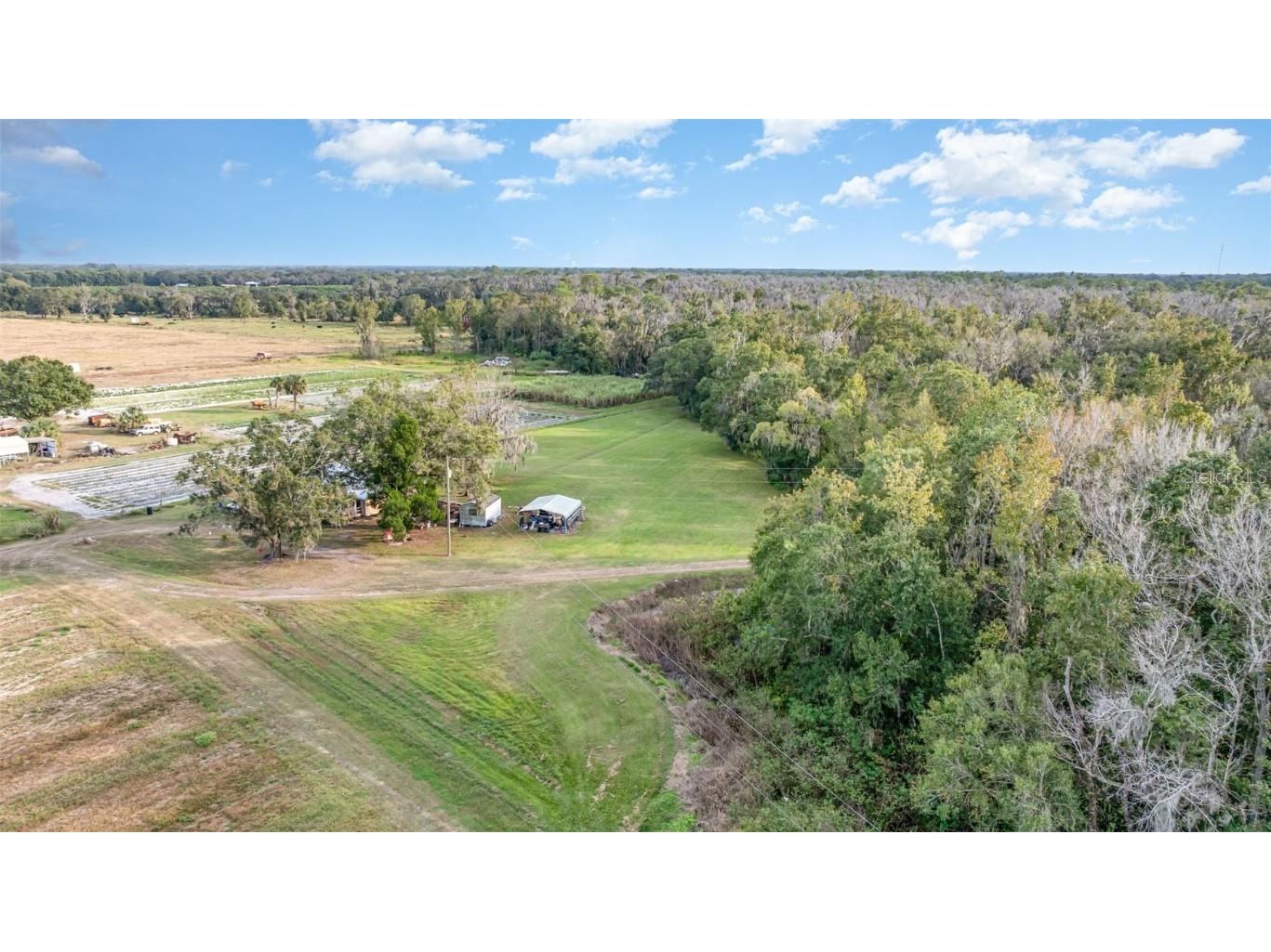 910 Bumby Lane Wauchula FL 33873 TB8443716 image35