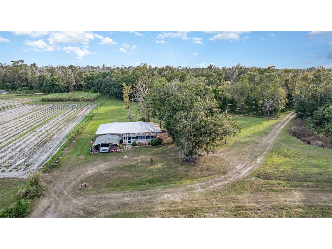 910 Bumby Lane Wauchula FL 33873 TB8443716 image36