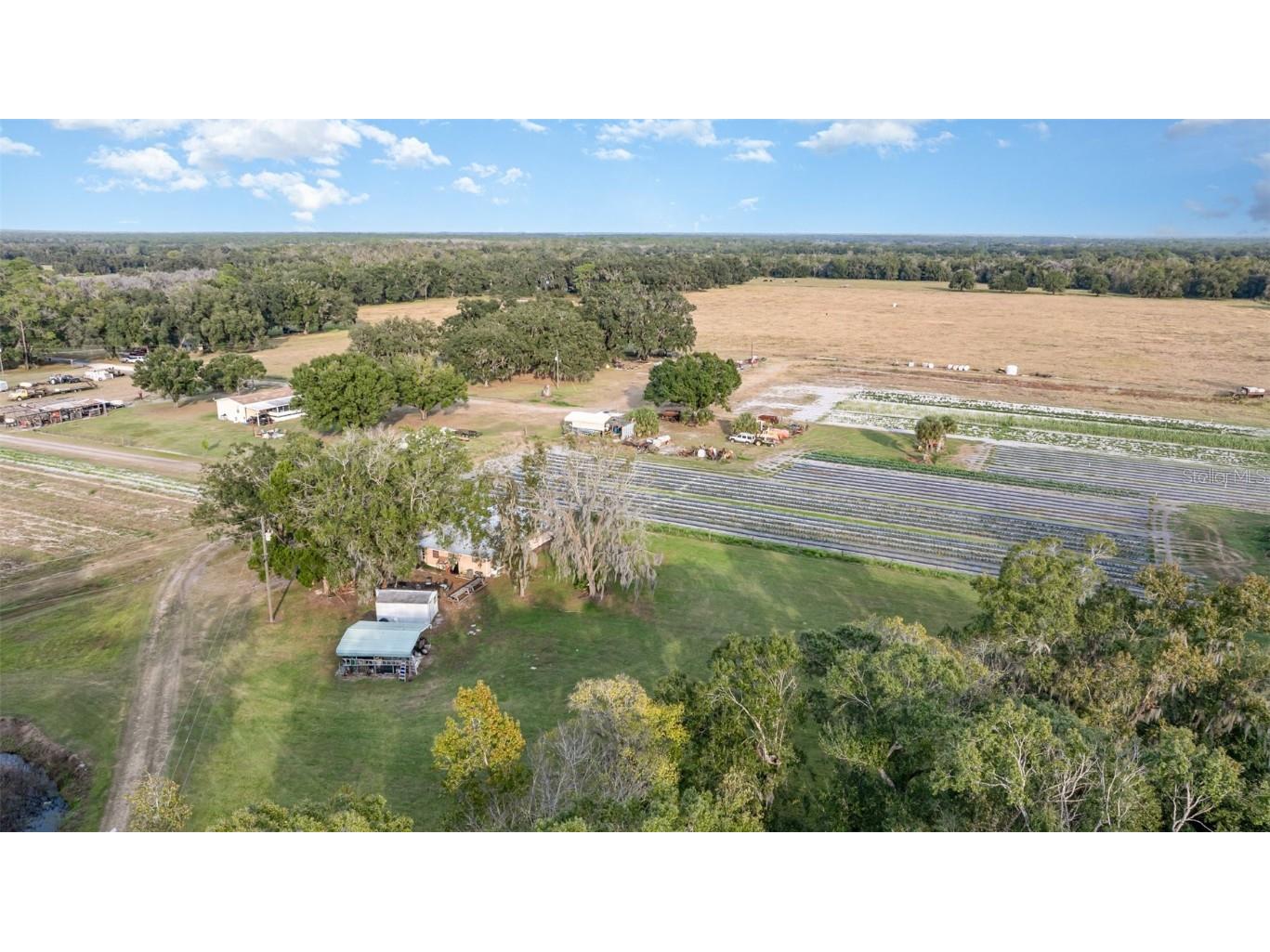 910 Bumby Lane Wauchula FL 33873 TB8443716 image37