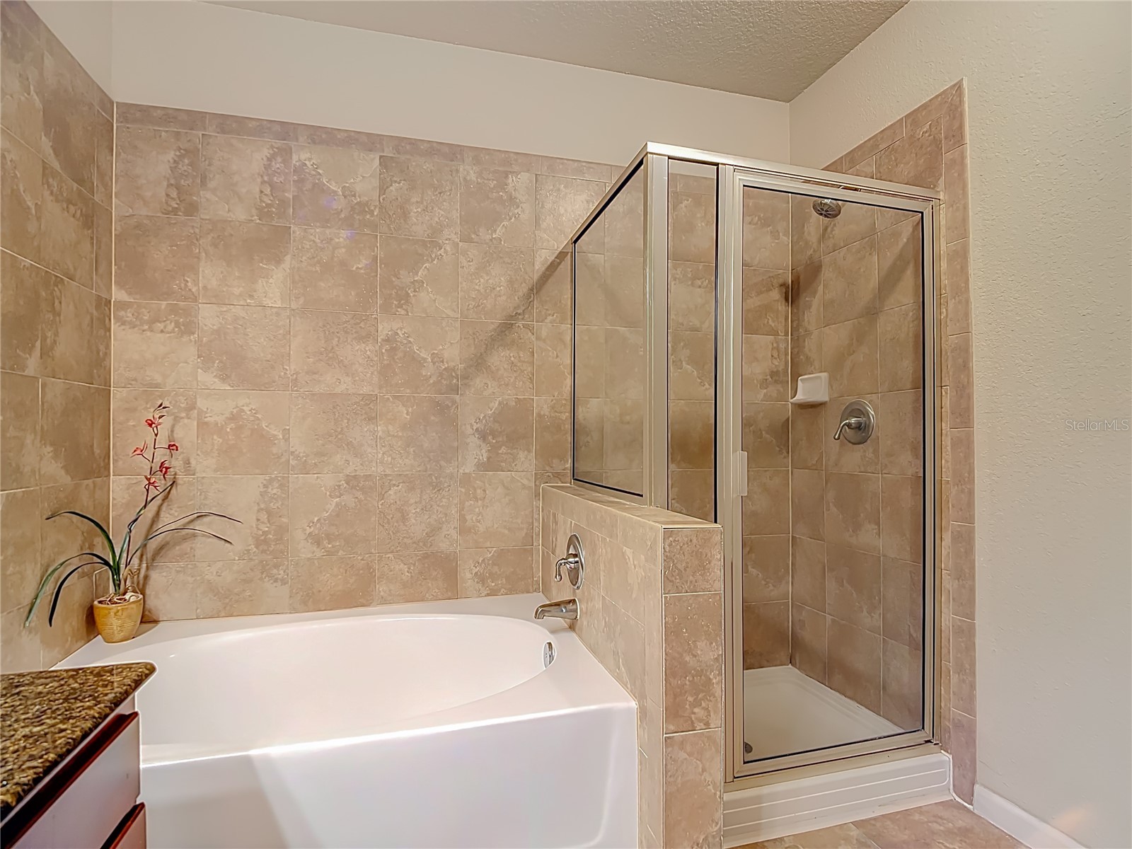 910 Charo Parkway #311 Davenport FL 33897 O6394859 image15