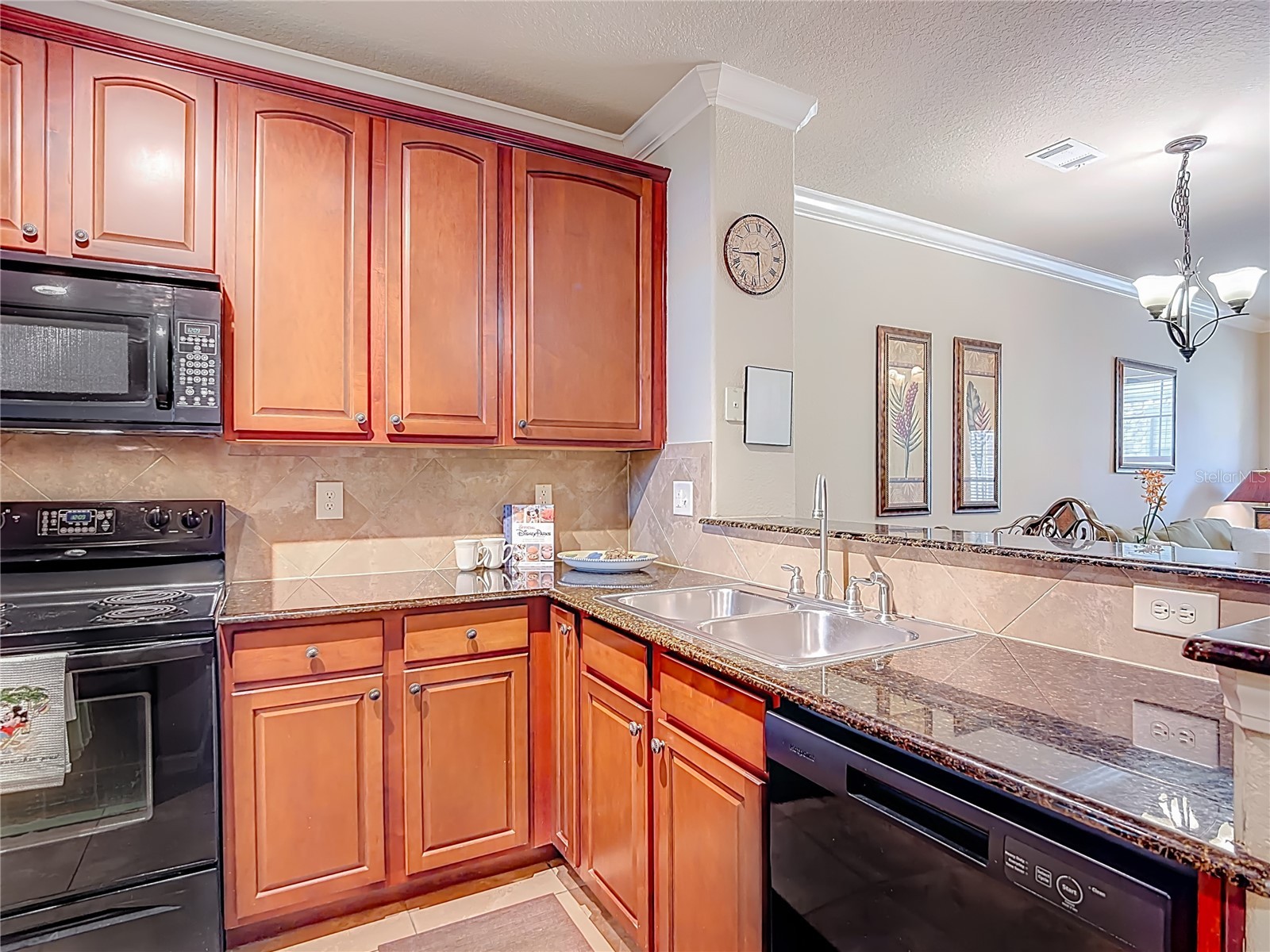 910 Charo Parkway #311 Davenport FL 33897 O6394859 image8
