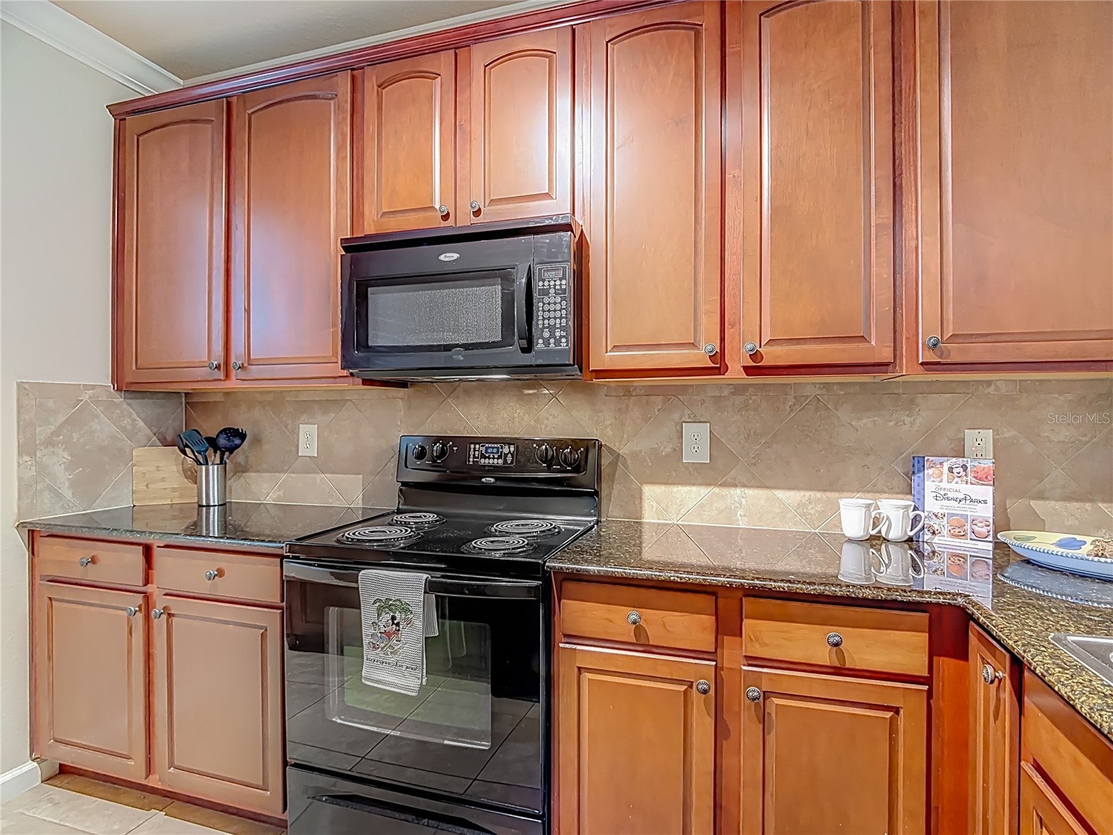 910 Charo Parkway #311 Davenport FL 33897 O6394859 image9