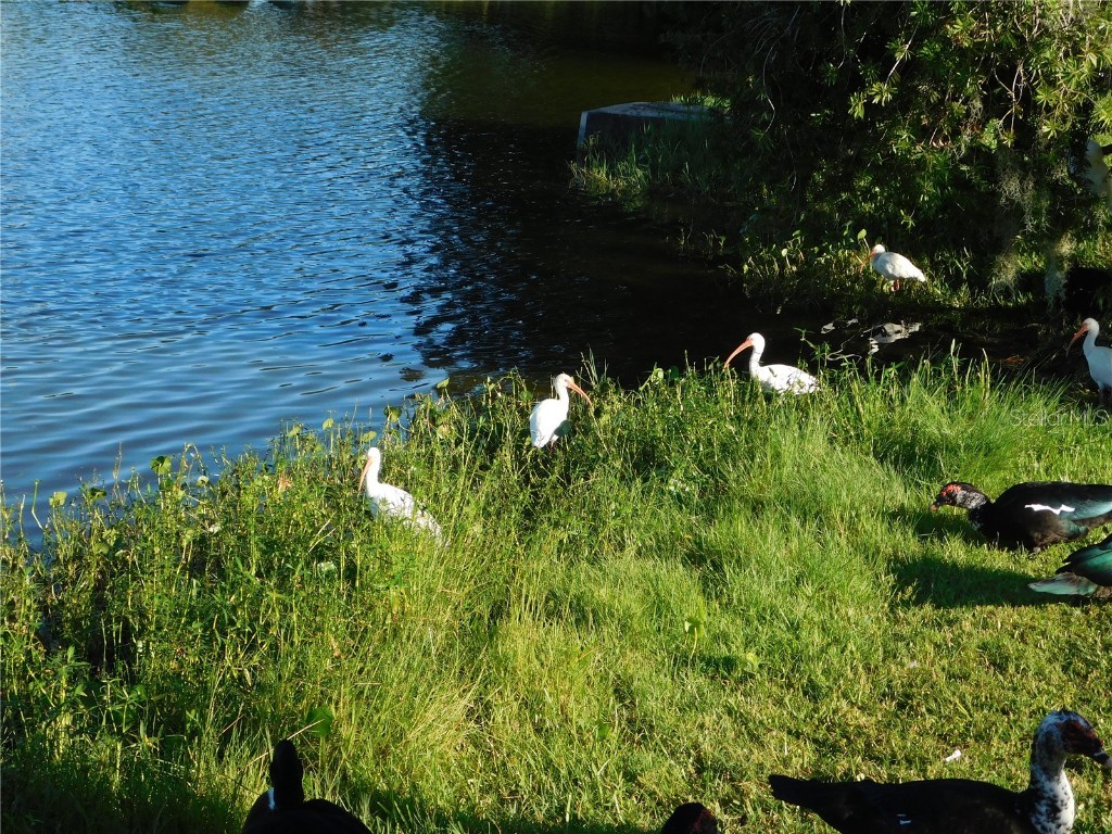 910 Cherokee Circle Sanford FL 32773 O6353694 image56