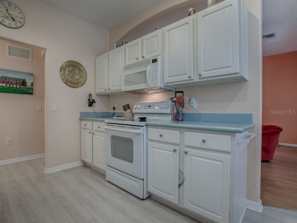 910 Eagles Landing Leesburg FL 34748 G5095291 image16