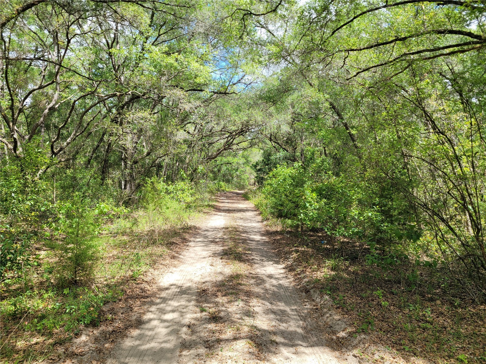 910 Ferncreek Avenue Inverness FL 34453 TB8503841 image4