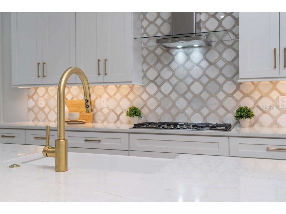 910 Golfview Street Orlando FL 32804 O6357868 image28