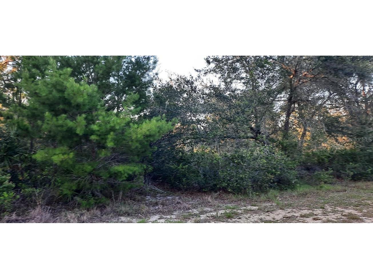 910 Granada Drive Indian Lake Estates FL 33855 - LAKE WALK-IN-WATER TB8397525 image1