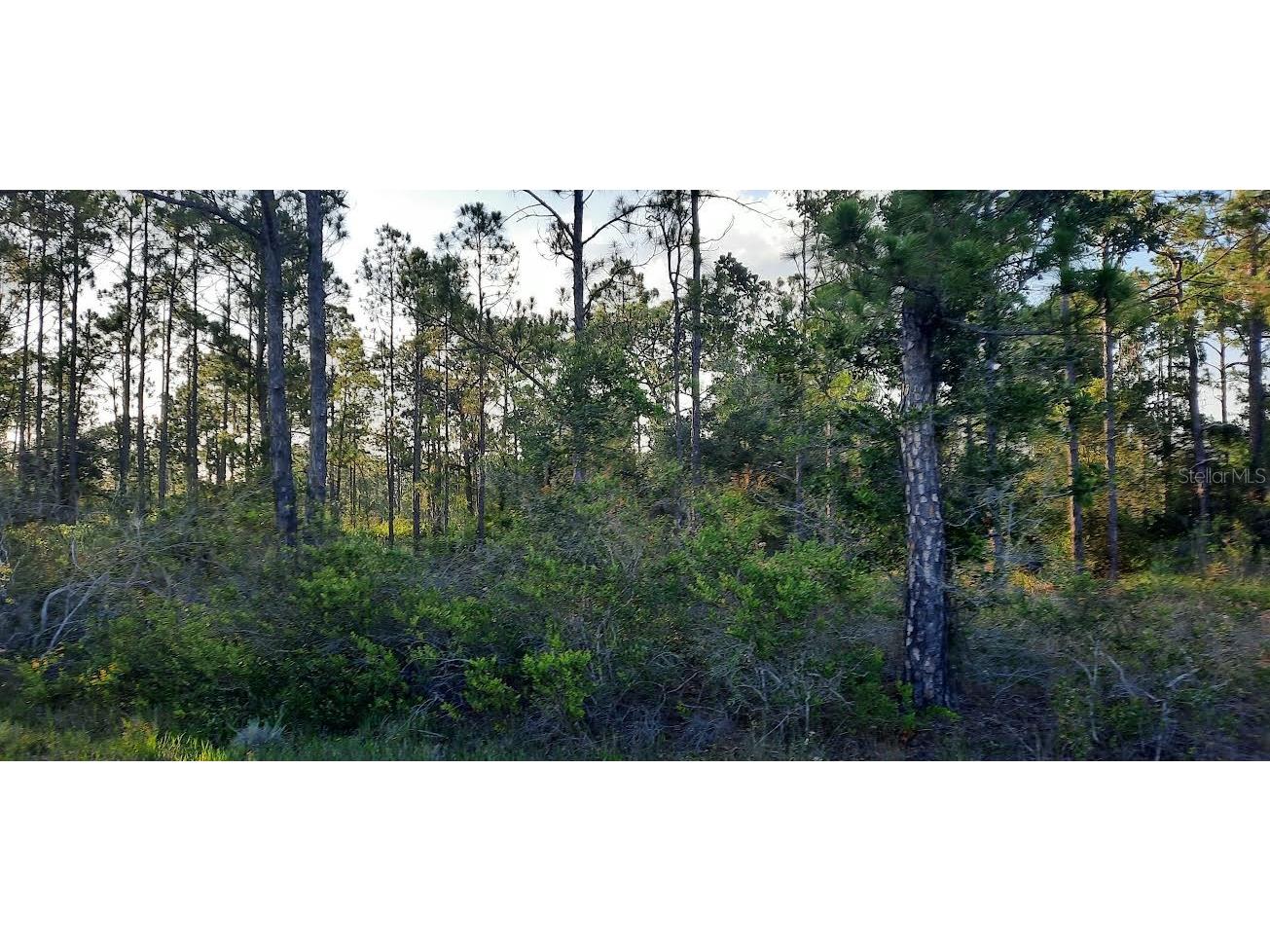 910 Granada Drive Indian Lake Estates FL 33855 - LAKE WALK-IN-WATER TB8397525 image2