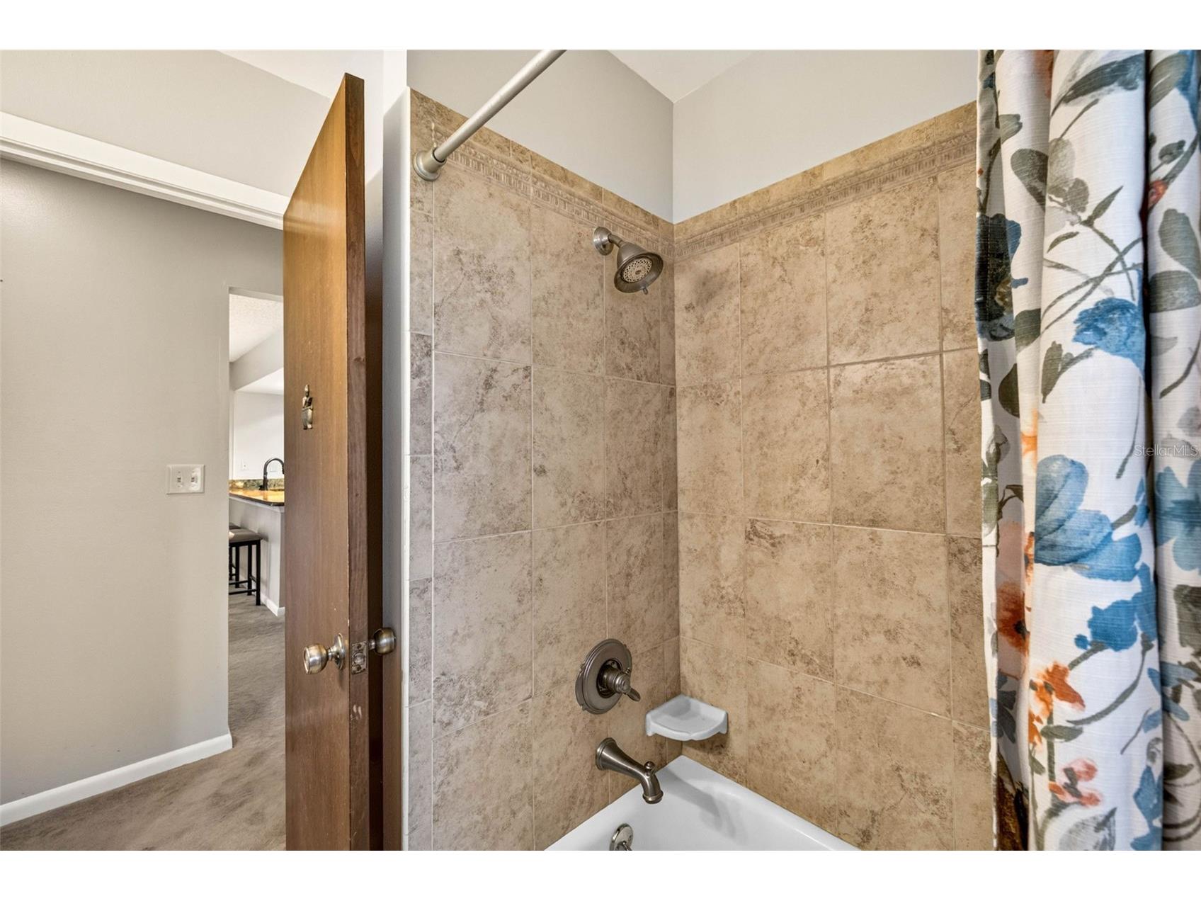 910 Hillside Drive Lutz FL 33549 - LAKE KEEN TB8520451 image19