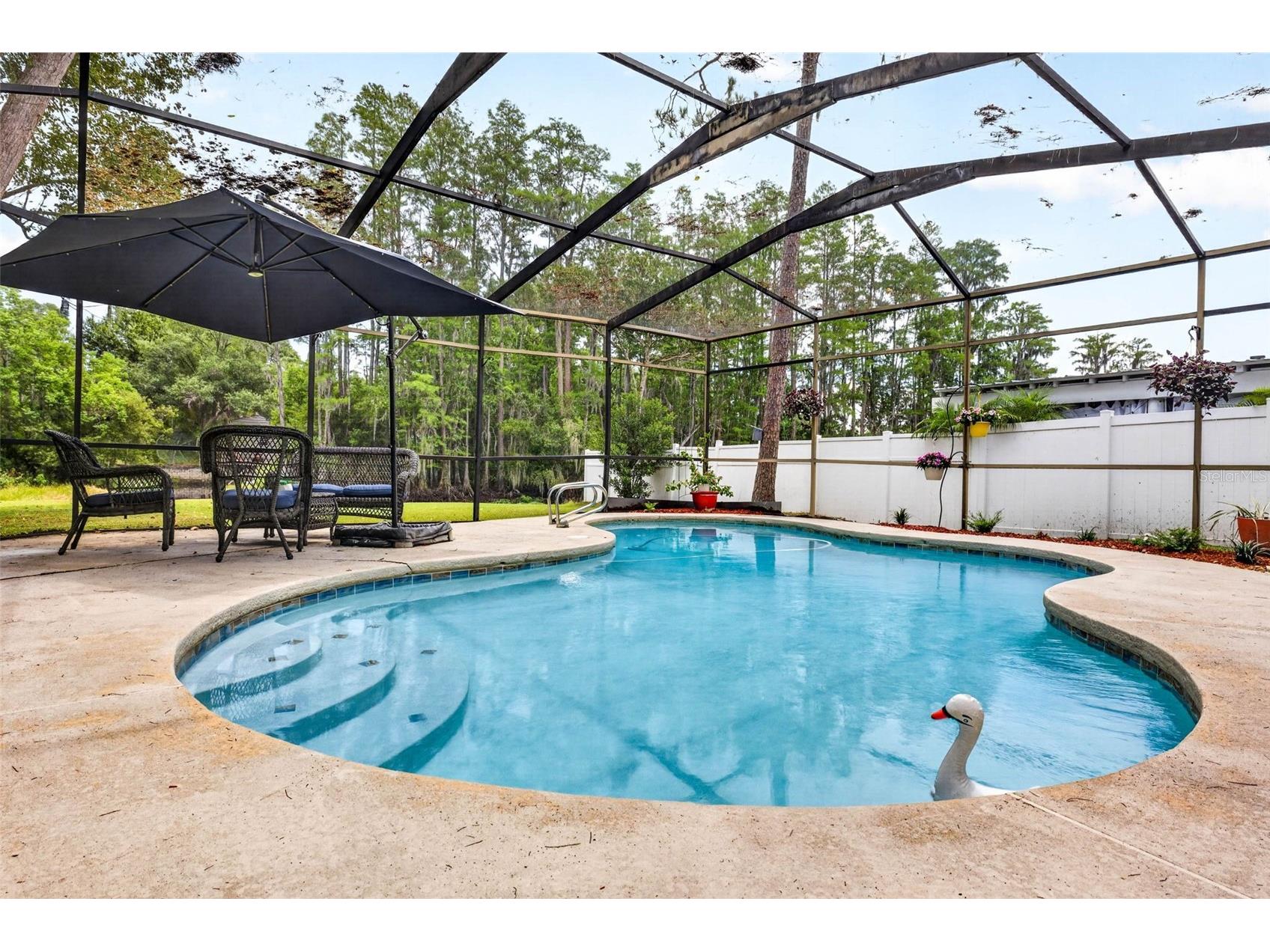 910 Hillside Drive Lutz FL 33549 - LAKE KEEN TB8520451 image27