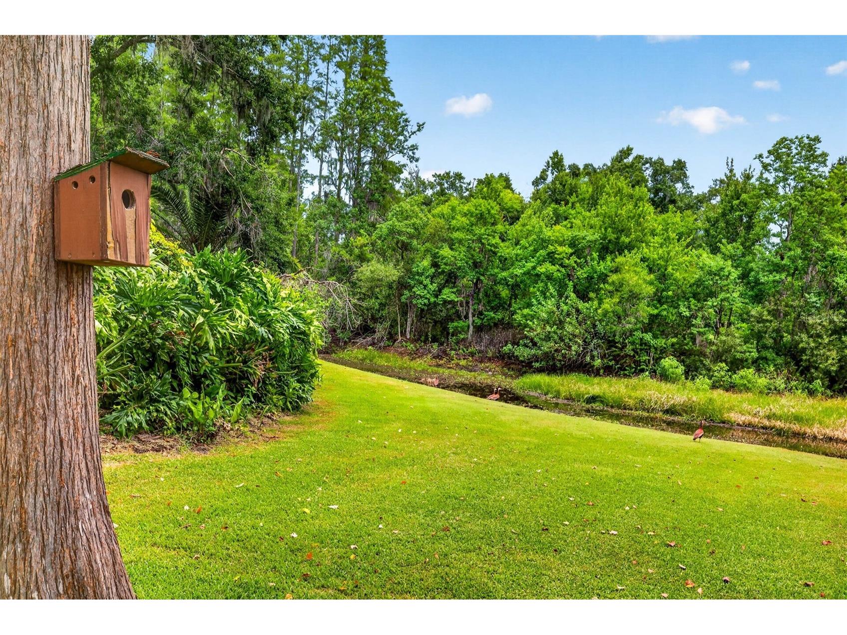 910 Hillside Drive Lutz FL 33549 - LAKE KEEN TB8520451 image30