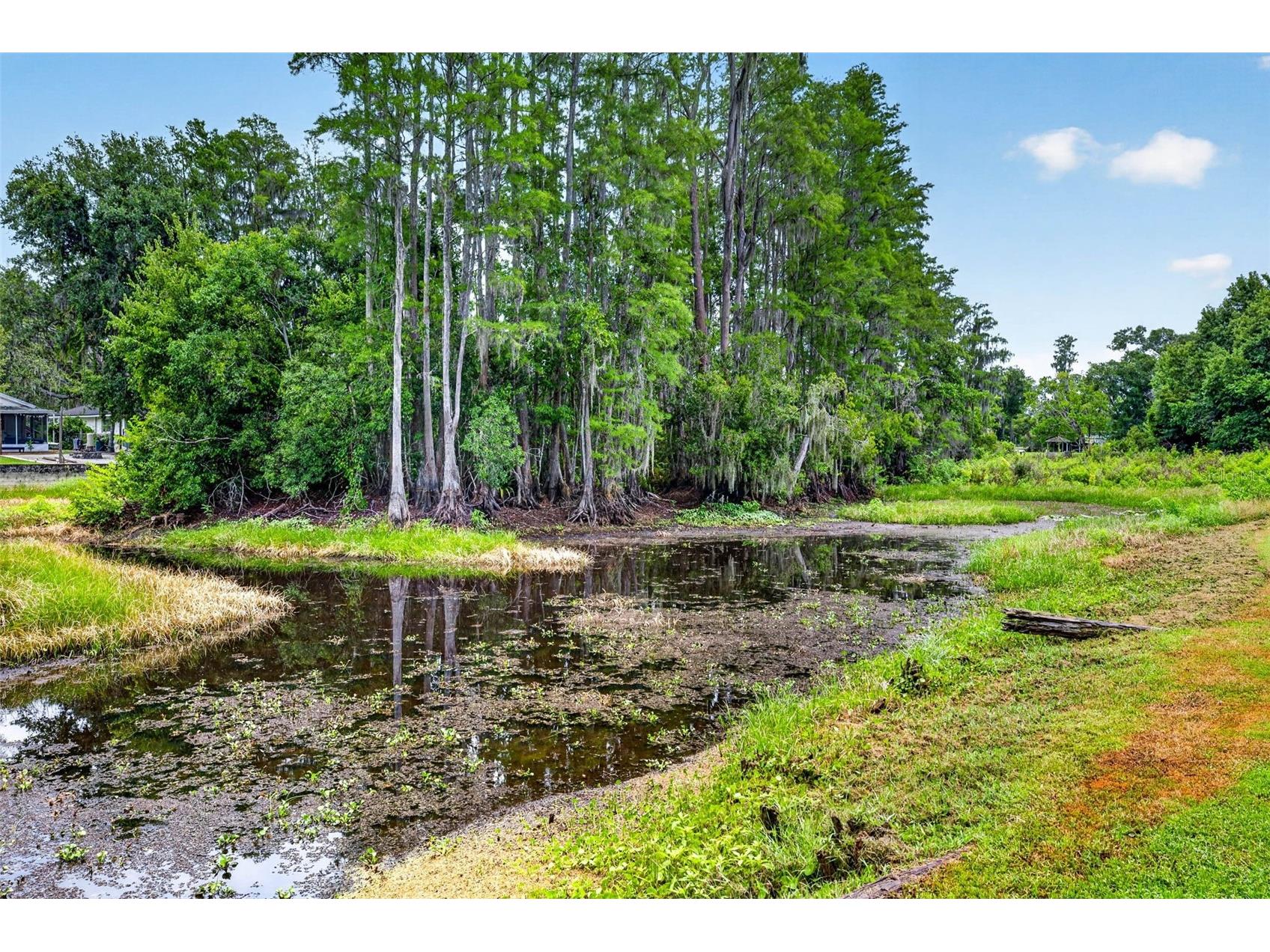 910 Hillside Drive Lutz FL 33549 - LAKE KEEN TB8520451 image31