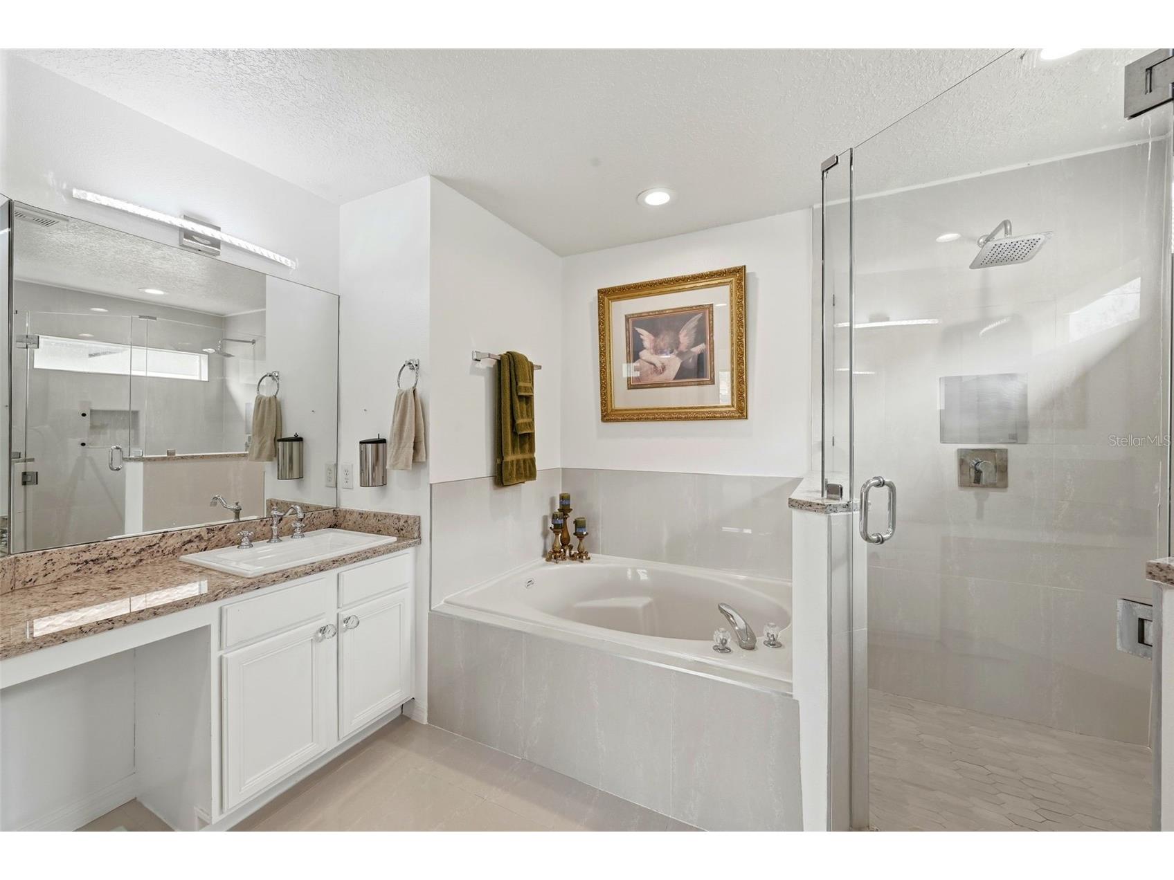 910 Lascala Drive Windermere FL 34786 O6397847 image33