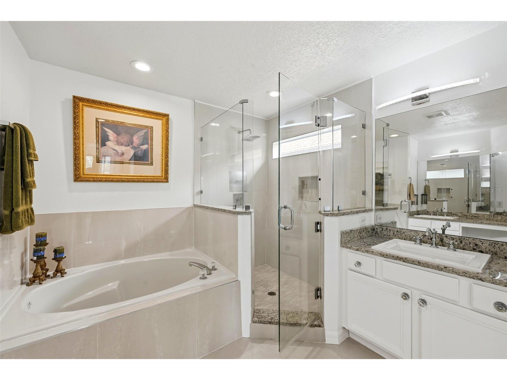 910 Lascala Drive Windermere FL 34786 O6397847 image34