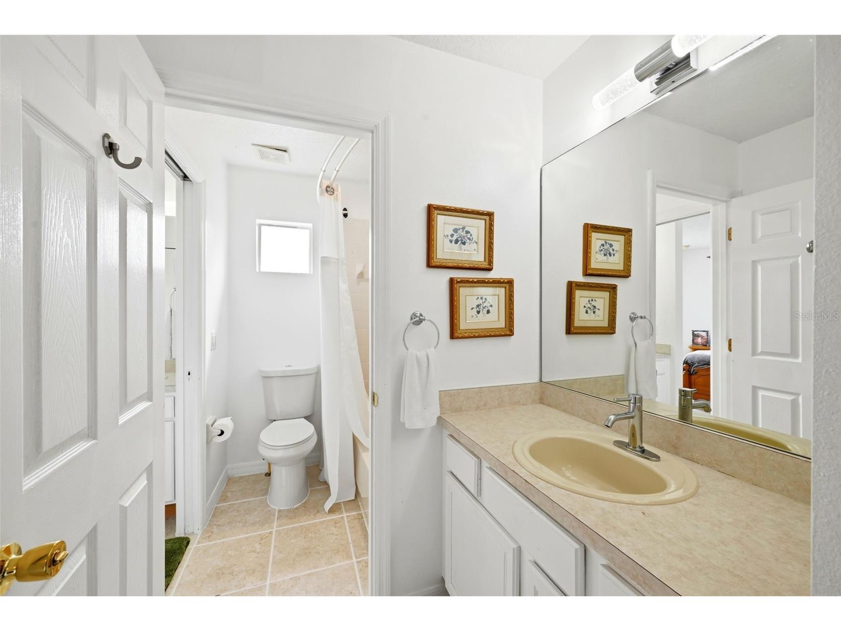 910 Lascala Drive Windermere FL 34786 O6397847 image38