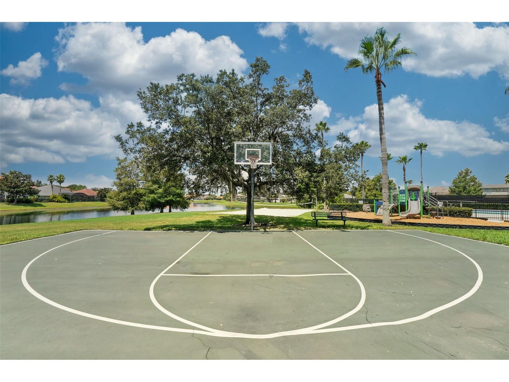910 Lascala Drive Windermere FL 34786 O6397847 image53