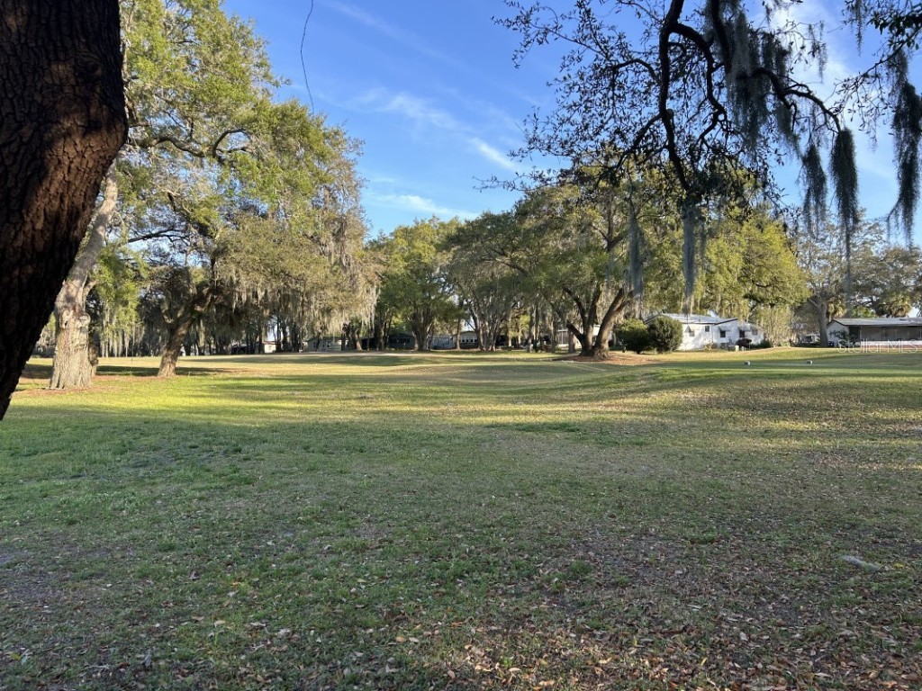 910 Orchid Street The Villages FL 32159 A4644856 image13