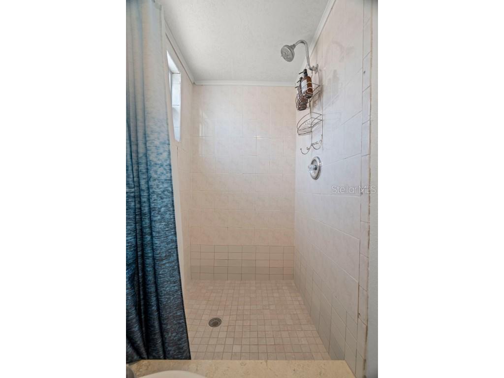 910 Palmetto Drive Safety Harbor FL 34695 TB8427890 image29